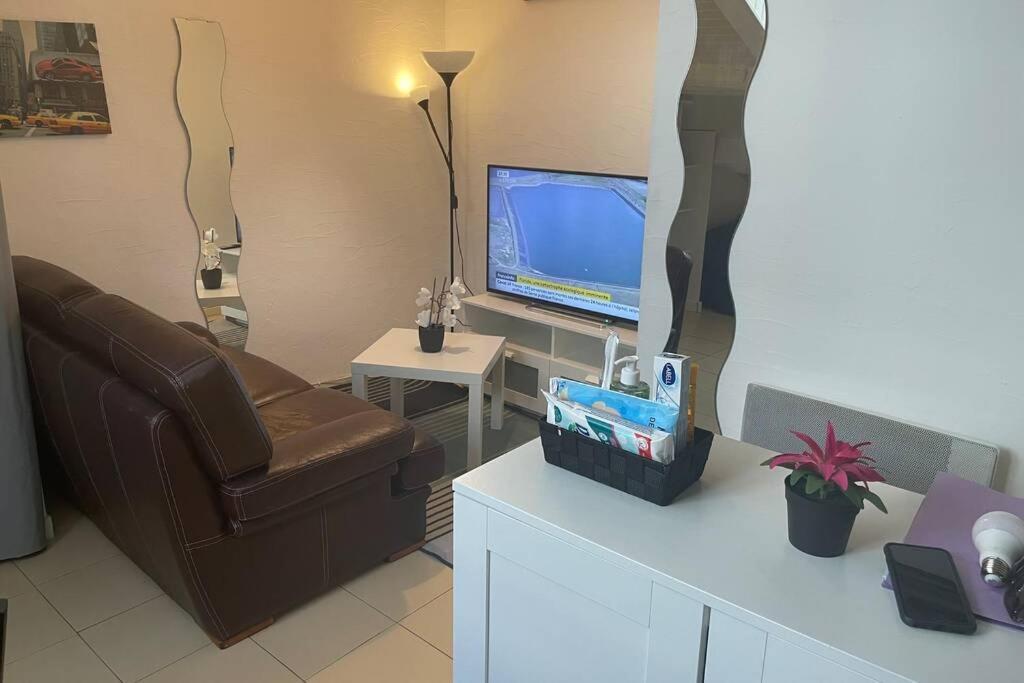 Studio Mansarde Gare De Et Place Liberte Apartment